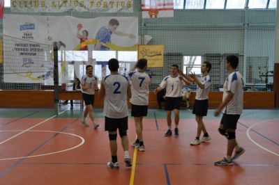 Volei femenin