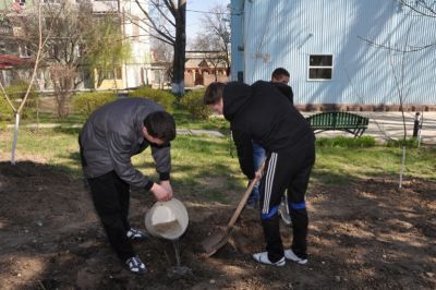 Acțiuni de salubrizare, 29.03.14