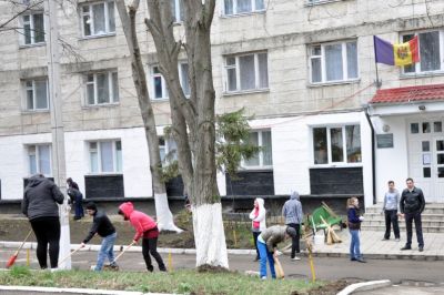 Mediciniștii participă la curățirea mediului