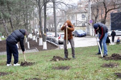 Mediciniștii participă la curățirea mediului