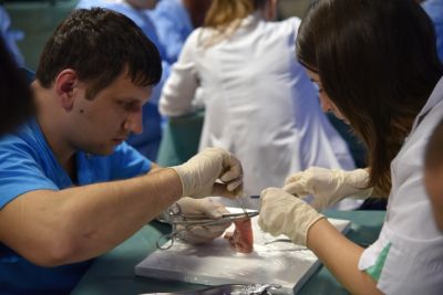 Basic Surgical Skills la cea de-a VII-a ediție